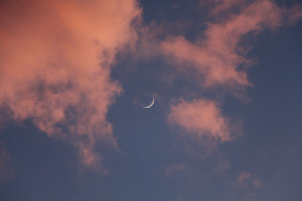 Mondsichel zwischen rosa Wolken, 28.3.2020