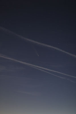 Um 19:15 Uhr steht der Komet noch hoch am hellen Abendhimmel
