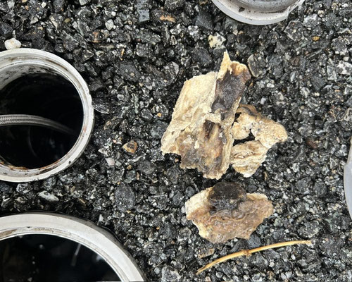 配管内から排出されたスカムの一部。油脂や石けんカスが固形化したもので、桝だけ清掃では取り切れず再発の原因となる汚れ。