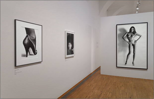 Vienna: Museo Albertina, collezione di opere fotografiche, settore Helmut Newton - © Massimo Vespignani