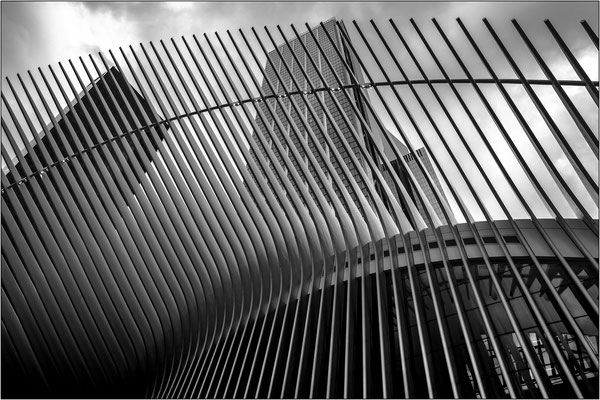 New York City: strutture metalliche esterne del modernissimo hub ferroviario al World Trade Center - © Massimo Vespignani