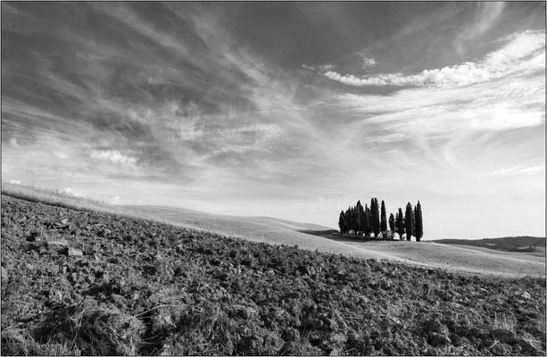 I cipressi di San Quirico d'Orcia - © Massimo Vespignani