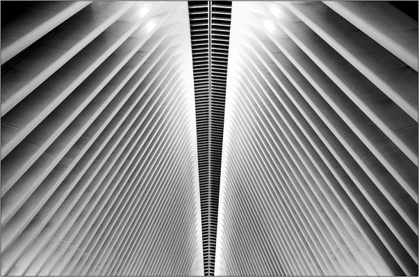 Le maestose costolature dell'Oculus, hub e mall da 36mila metri quadrati al World Trade Center, opera dell'achitetto Santiago Calatrava - © Massimo Vespignani