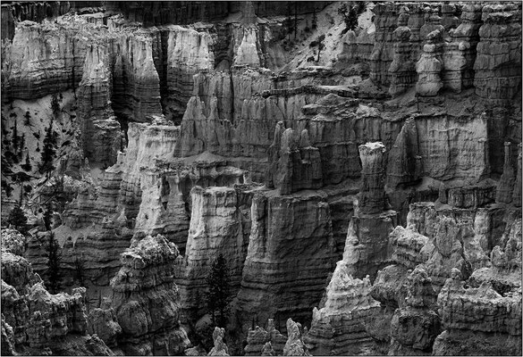 Bryce Canyon National Park (Utah): guglie e pinnacoli a perdita d'occhio - © Massimo Vespignani