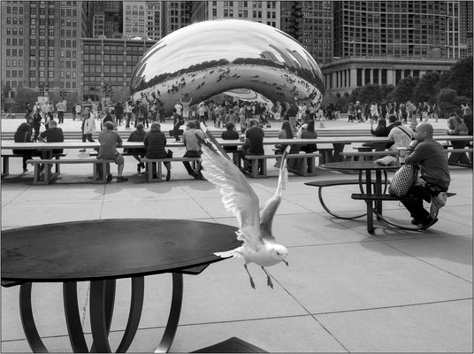 Chicago: la scultura "Cloud Gate" dell'artista  Anish Kapoor, soprannominata "The Bean" ("Il Fagiolo") per via della sua forma - © Massimo Vespignani