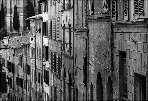 Siena - © Massimo Vespignani