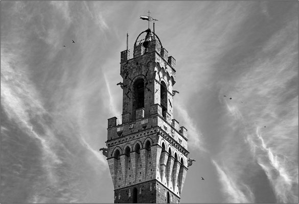 Siena: torre del Mangia - © Massimo Vespignani