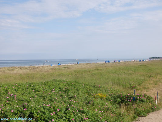 Weidefelder Strand