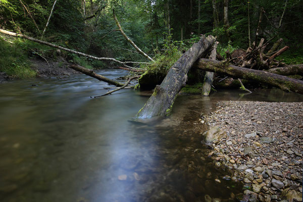 Gauchachschlucht, Schwarzwald