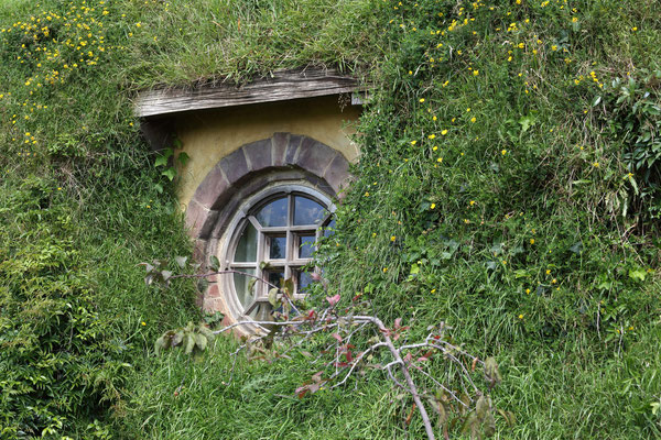 Hobbiton Movie Set