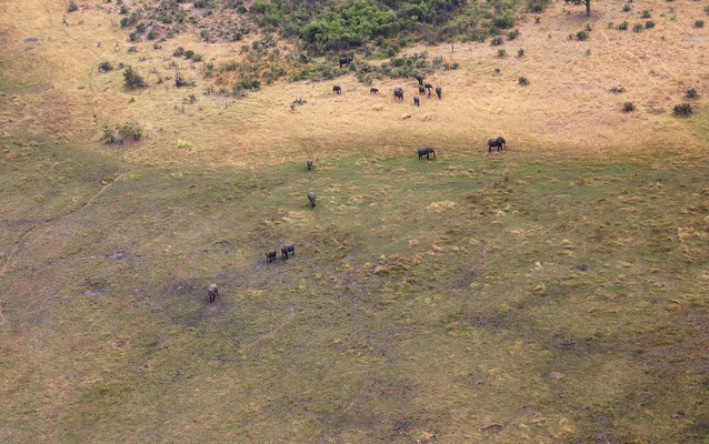 Rundflug über das Okawango Delta