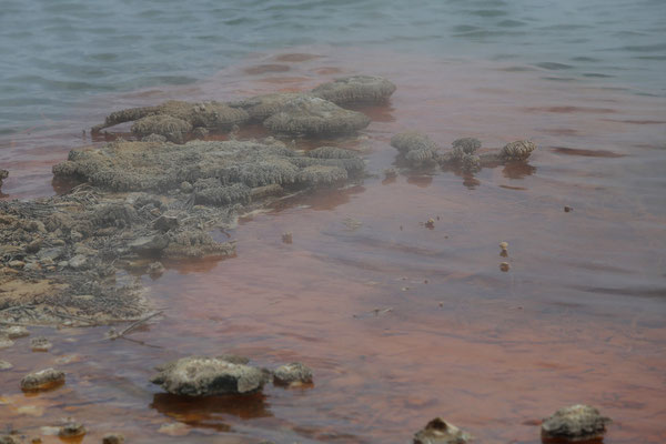 Wai O Tapu