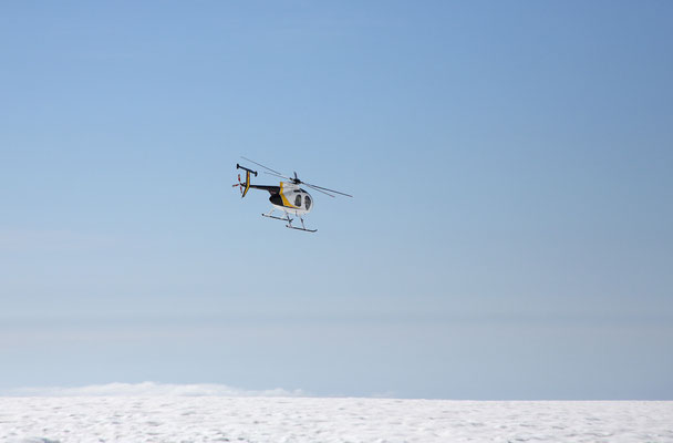 Mit dem Heli auf den Fox Gletscher