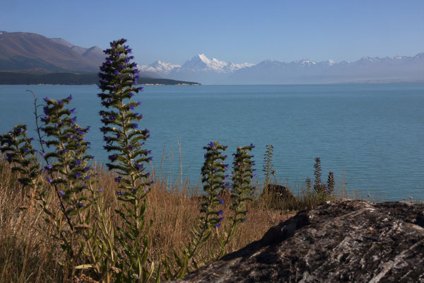 Lake Pukaki