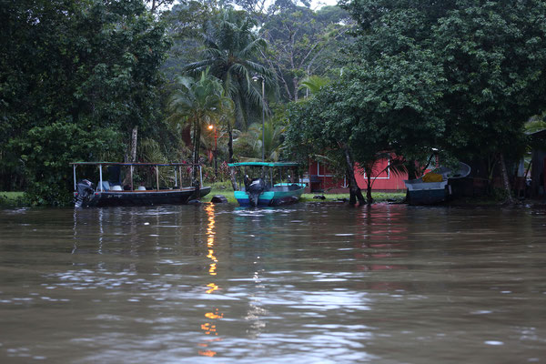 Im Tortuguero National Park