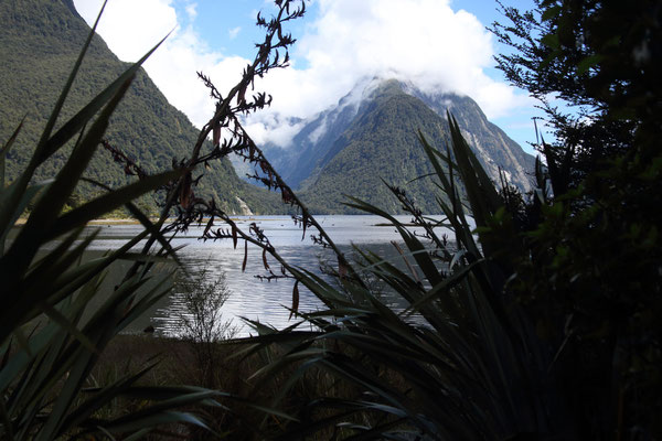 Milford Sound