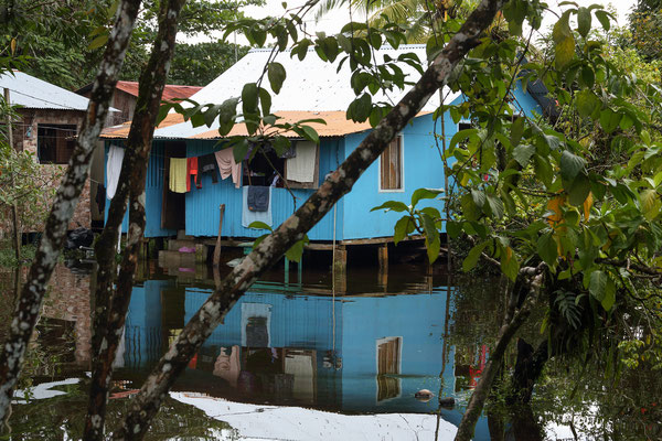 Im Tortuguero National Park