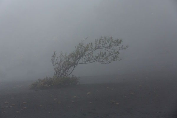 Am Vulkan Irazu. Das Wetter hätte besser sein können.