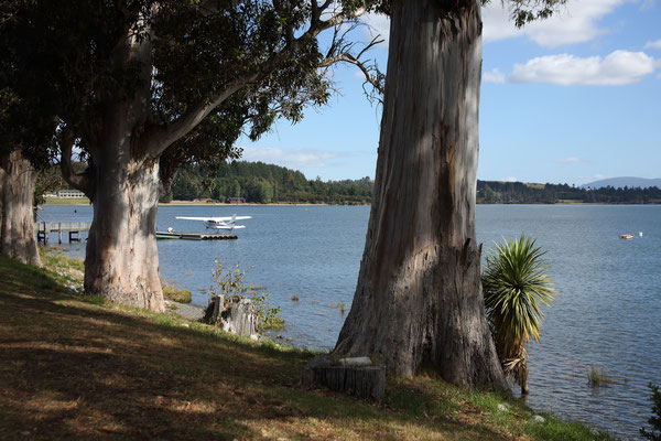 Te Anau