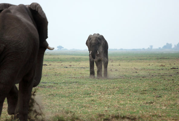 Chobe National Park