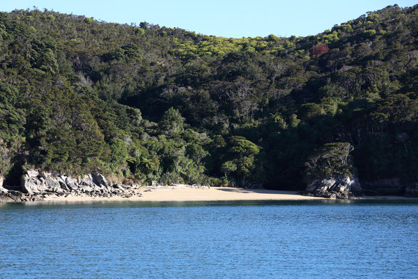 Abel Tasman National Park