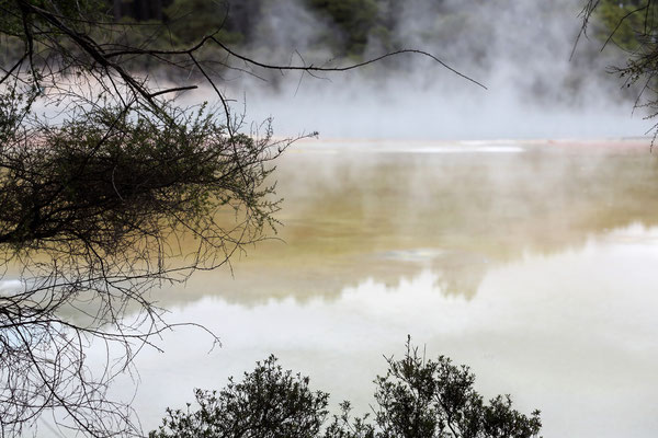 Wai O Tapu