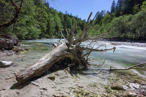 Der Rißbach bei Vorderiss