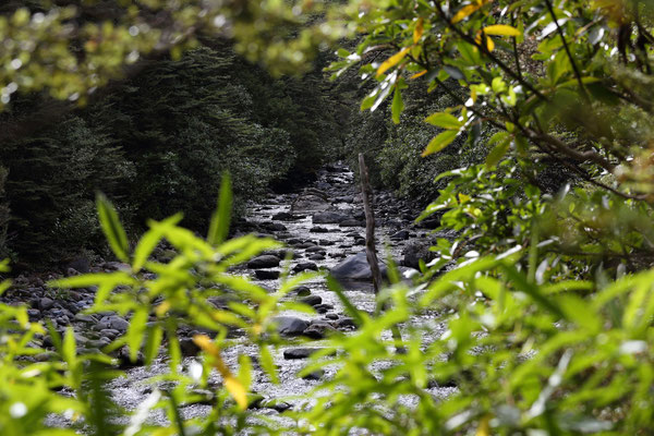 Tongariro National Park