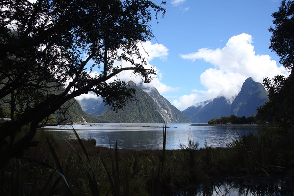 Milford Sound