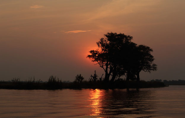 Chobe River