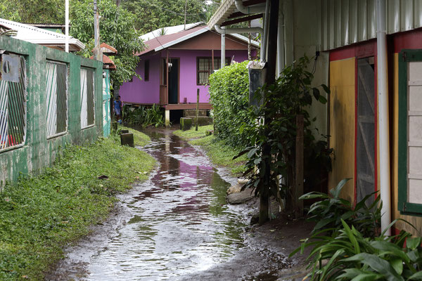 Im Tortuguero National Park