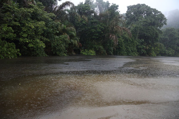 Im Tortuguero National Park