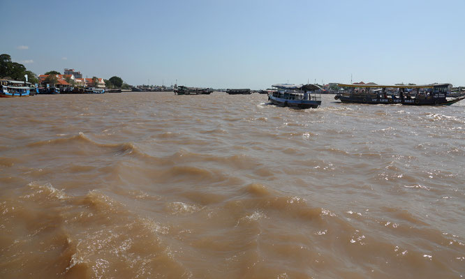 Im Mekong Delta