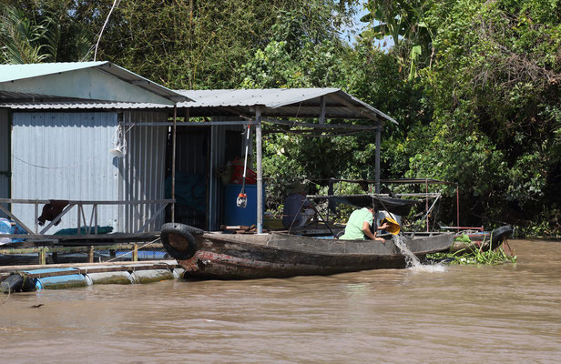 Im Mekong Delta