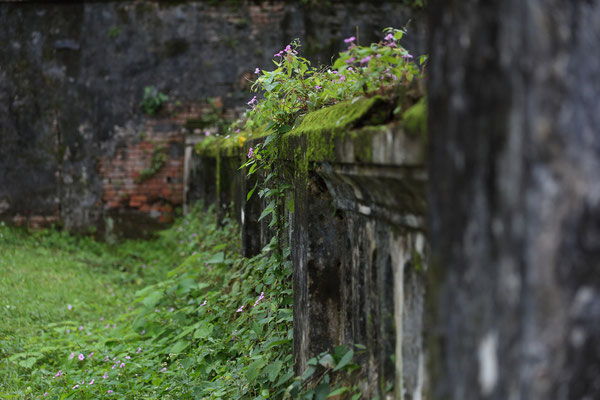 Kinh thanh Hue, Tempelanlage in Hue