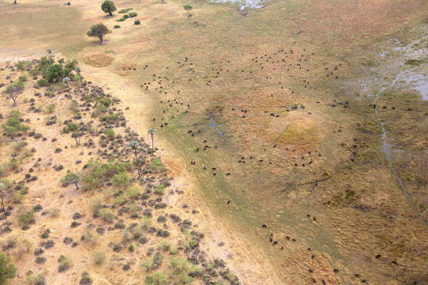 Rundflug üder das Okawango Delta