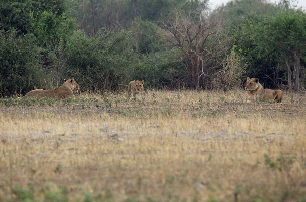 Chobe National Park