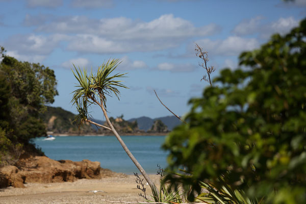 Bay of Islands