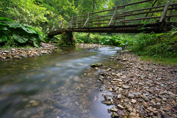 Gauchachschlucht, Schwarzwald