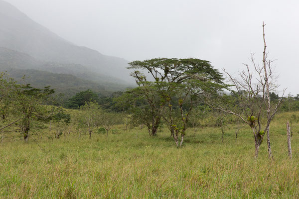 Wanderung am Vulkan Arenal