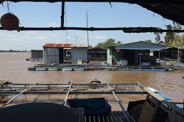 Im Mekong Delta