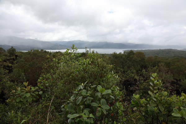 Wanderung am Vulkan Arenal