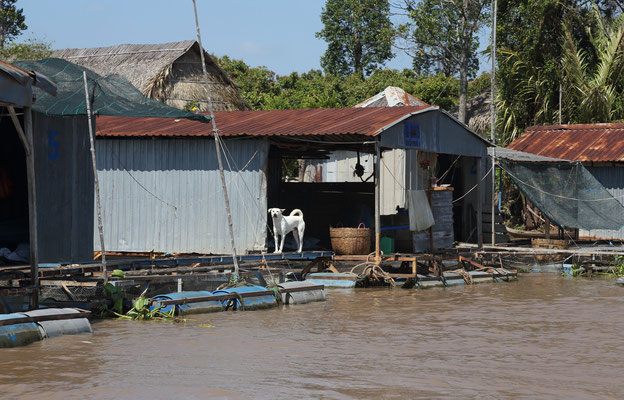 Im Mekong Delta