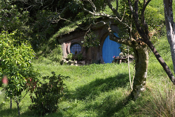 Hobbiton Movie Set