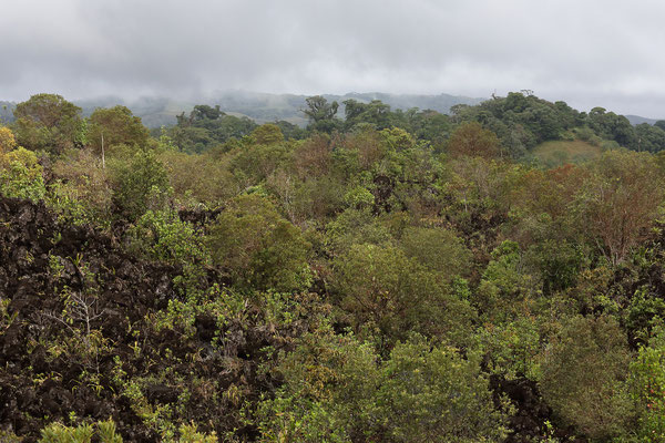 Wanderung am Vulkan Arenal