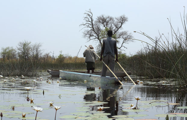 Okavango Delta