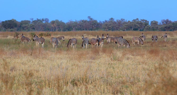 Okavango Delta