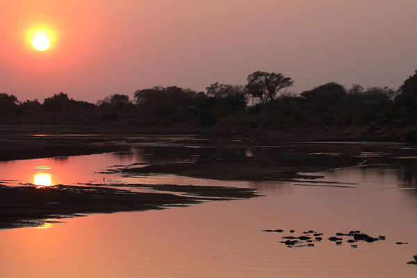 Am Luangwa River