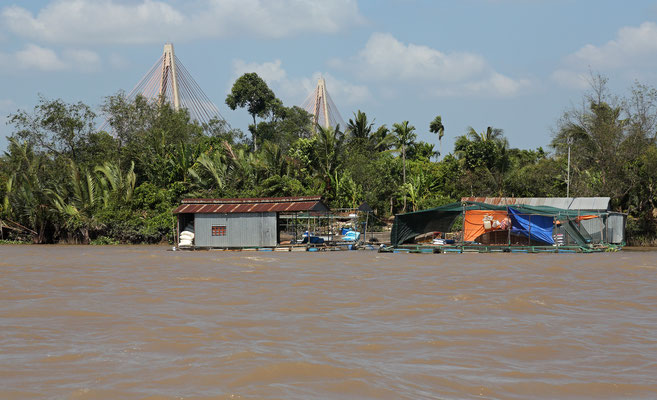 Im Mekong Delta