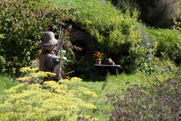 Hobbiton Movie Set